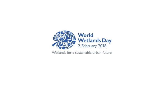 #WorldWetlandsDay: Protect, conserve SA's wetlands