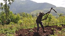 Bjvisser via  - Ethiopian farmer at work on his land.