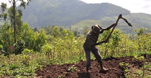 Bjvisser via  - Ethiopian farmer at work on his land.