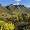 More than an apple a day in Grabouw's tourism future