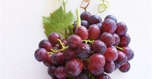 New SA table grape launched in Berlin