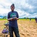 How Nigeria's Thrive Agric is crowdfunding farmers