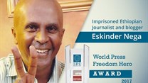 Ethiopian journalists Eskinder Nega and Woubshet Taye released