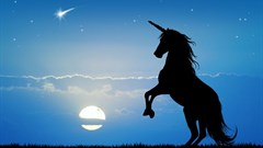 Unicorns and fairy dust: The mythical land of SEO