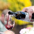 Tickets now available for the 2018 Wacky Wine Weekend