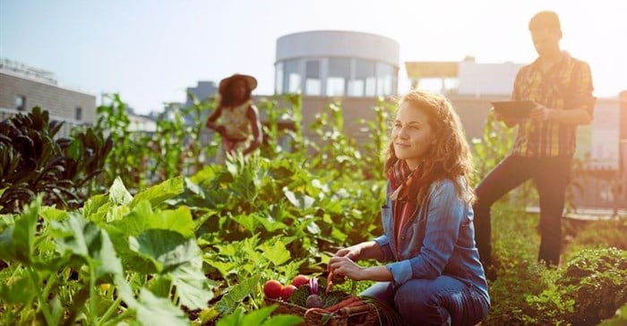 How to put the youth back in agriculture