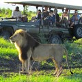 Tau Game Lodge a picture-perfect experience