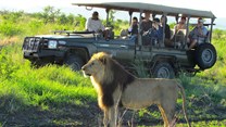 Tau Game Lodge a picture-perfect experience