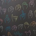 Sign language recognised as a home language