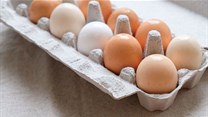 Carrefour's chicken blockchain set to lay eggs
