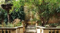 A South African's guide to moving to and making it in Malta: The garden of envy