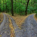 Take the road less travelled when you communicate with your target audience