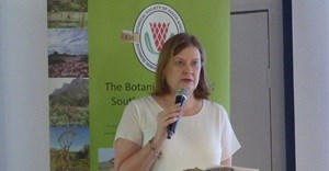 SA Botanical Society launches environmental education resource on cycads