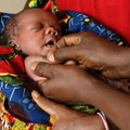 Massive measles vaccination campaign underway in Somalia