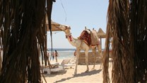 Egypt sees tourism rebound ahead of vote