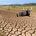 Climate change a top concern for agribusinesses