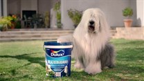Grey Advertising South Africa's Dulux TVC named one of South Africa's Best Liked Ads by Kantar Millward Brown