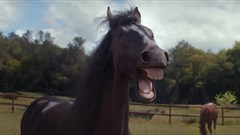 Grabarz & Partner Werbeagentur GmbH Germany struck gold, earning 3 Gold AME Awards for their campaign, “Laughing Horses” for client Volkswagen.
