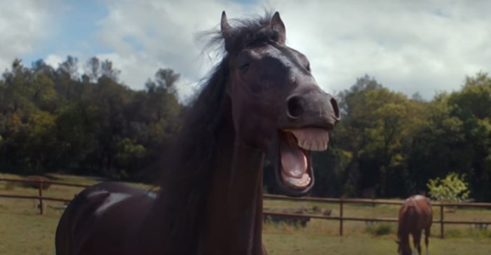 Grabarz & Partner Werbeagentur GmbH Germany struck gold, earning 3 Gold AME Awards for their campaign, “Laughing Horses” for client Volkswagen.