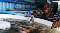 Aquaculture skills in the spotlight