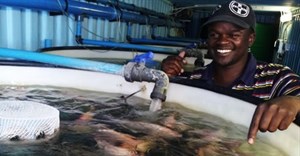 Aquaculture skills in the spotlight