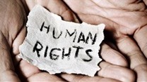 Survey on constitutional, human rights released