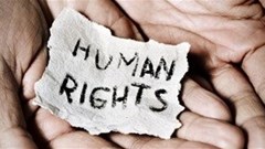 Survey on constitutional, human rights released