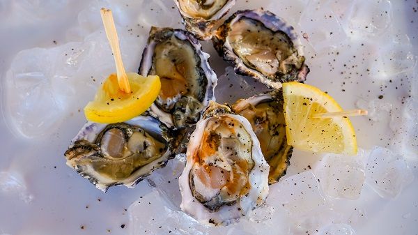 Lots on offer at Pick n Pay Knysna Oyster Festival