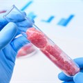 Should lab-grown meat be labelled as meat when it's available for sale?