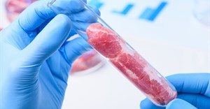Should lab-grown meat be labelled as meat when it's available for sale?