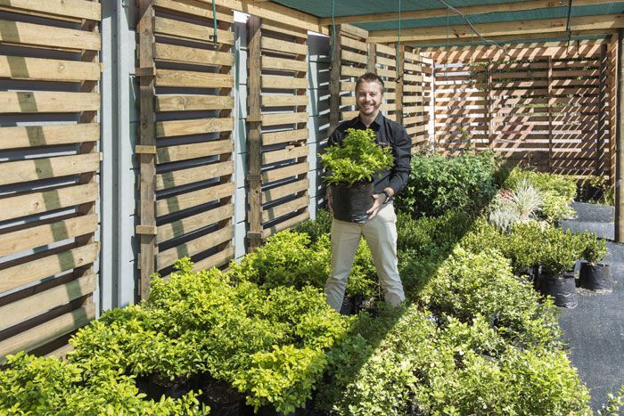 Scan Display Cape Town's new water-wise plant nursery