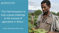 Applications for Fall Armyworm Tech Prize open