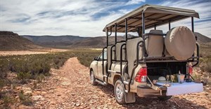 Five of the best safaris in and around Cape Town