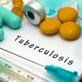 Putting TB on the political agenda