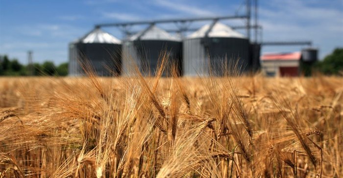 South African wheat production under the spotlight