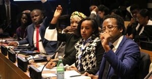 African youth participate at an international youth forum at the UN headquarters in New York. Photo: Africa Renewal/Shu Zhang