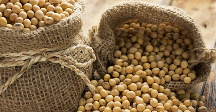 SA soya bean imports set to decline