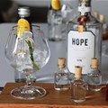 Hope on Hopkins gin (Image Supplied)