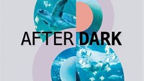 Two Oceans Aquarium & Texx and the City present After Dark