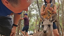 Is that selfie really worth it? Why face time with wild animals is a bad idea