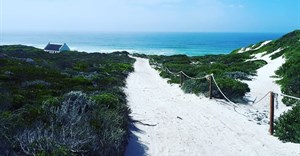 Whiling away days at De Hoop - a nature lover's respite