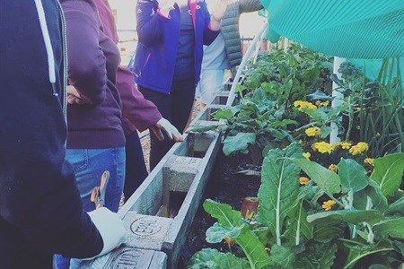 Call 2 Care uplifts communities with garden education, after-school programmes