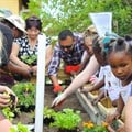 Call 2 Care uplifts communities with garden education, after-school programmes
