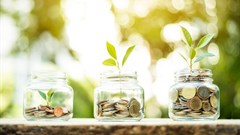 Not just cash: what else can investors offer your startup?
