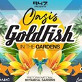 GoldFish to headline the Oasis Experience