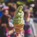 These are the top ice cream importing countries in the world