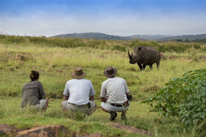 Luxury and wildlife protection at the Mhondoro Safari Lodge & Villa