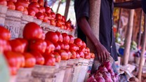 FAO's how-to guide to transforming food and agriculture