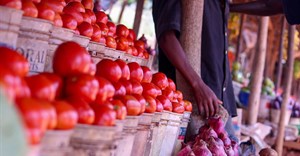FAO's how-to guide to transforming food and agriculture