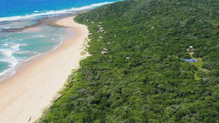 More than a 1000 endangered turtles nest along the shore of the Ponta do Ouro Partial Marine Reserve each year.